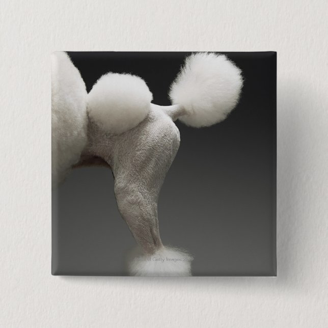 Haunches of Poodle, on grey background Pinback Button (Front)