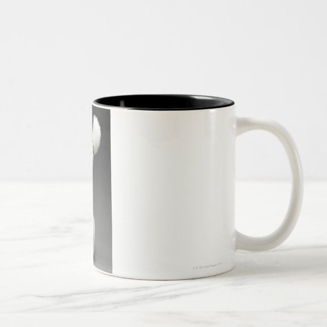Haunches of Poodle, on grey background Two-Tone Coffee Mug (Right)