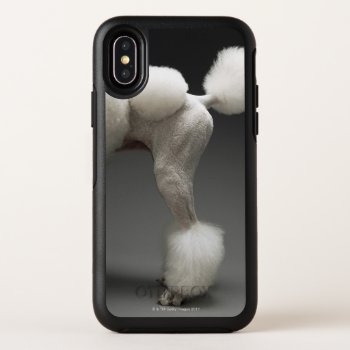 Haunches Of Poodle Otterbox Symmetry Iphone X Case by prophoto at Zazzle