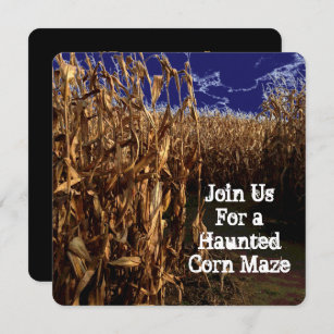 Haunted Corn Maze Halloween Invitation