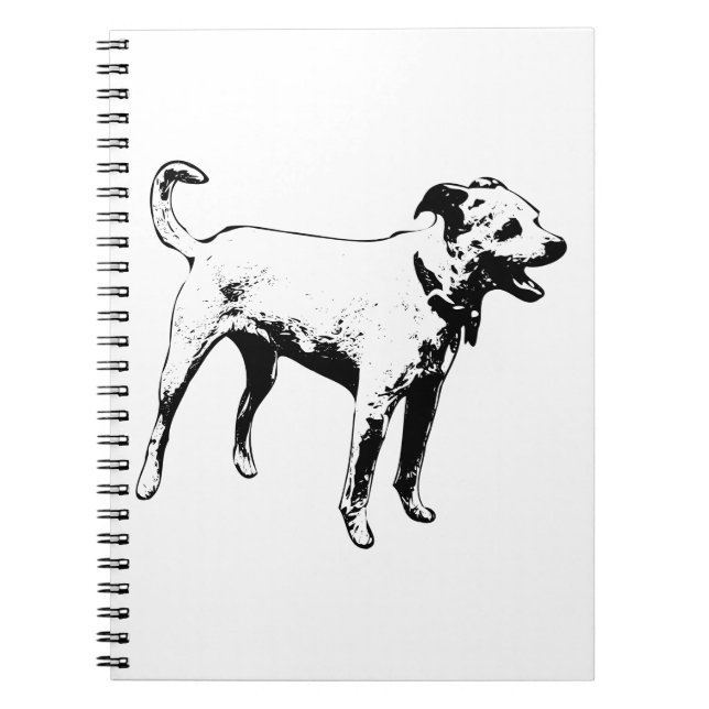 Haunted Echo Notebook (Front)