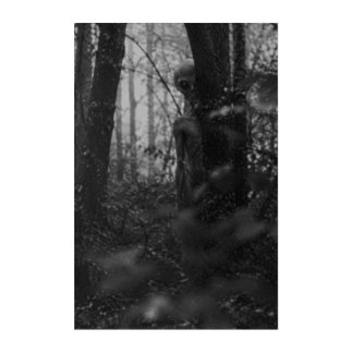 Haunted Forest – Mysterious Shadow in the Woods Acrylic Print