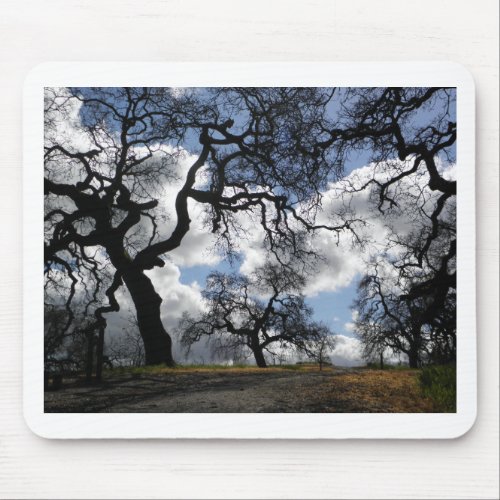 Haunted Trees Beautiful Natural Scenic Photo Mouse Pad