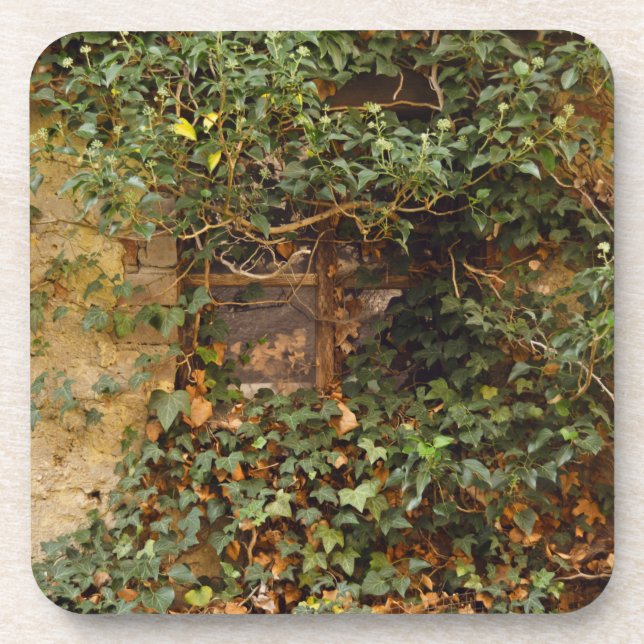 Haunted window  beverage coaster (Front)