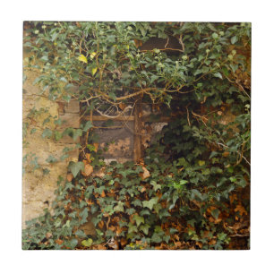 Haunted window ceramic tile