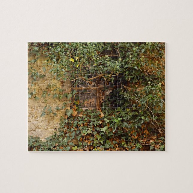 Haunted window  jigsaw puzzle (Horizontal)