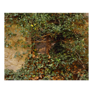 Haunted window    poster