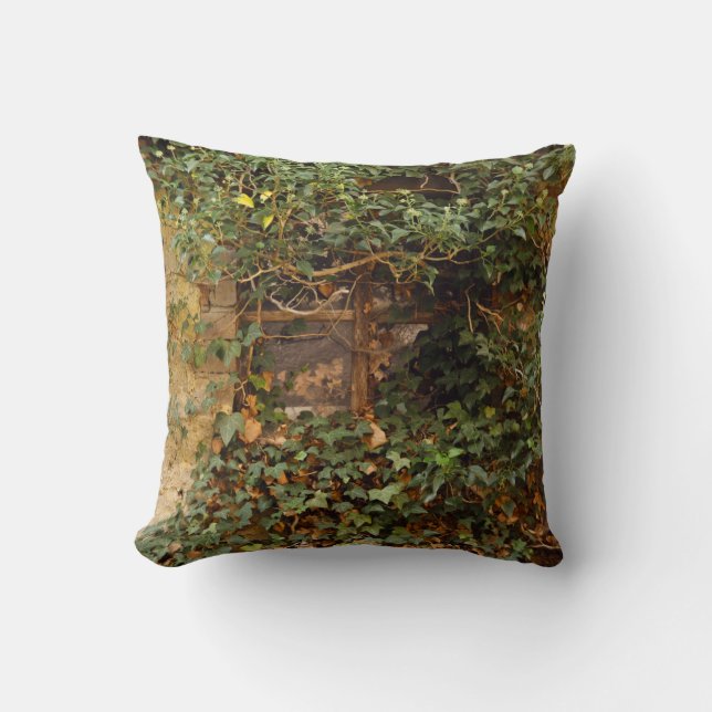 Haunted window throw pillow (Front)