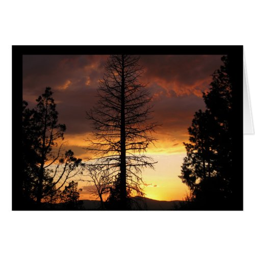 Hauntingly Beautiful Sunset Card
