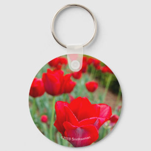 Haupt Bulbs, Close-up Keychain