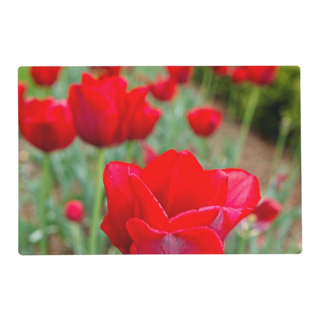Haupt Bulbs, Close-up Placemat (Front)