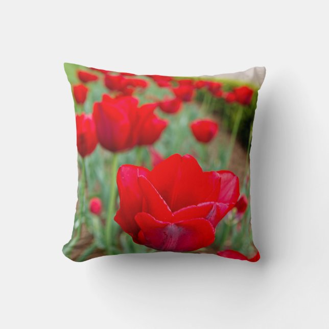 Haupt Bulbs, Close-up Throw Pillow (Front)