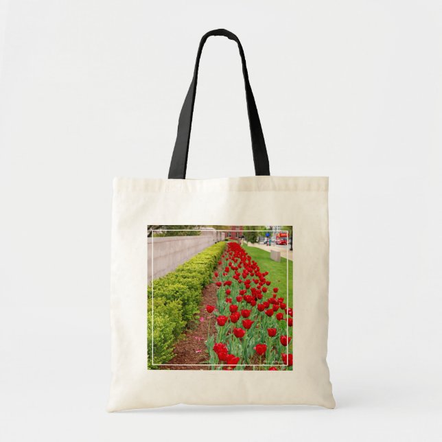 Haupt Bulbs Tote Bag (Front)
