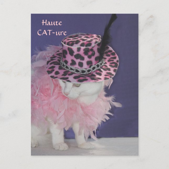 Haute CAT-ure Postcard (Front)