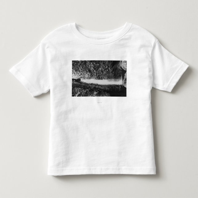 Hauula, HI - Sacred Falls, Near Cooper Ranch Inn Toddler T-shirt (Front)