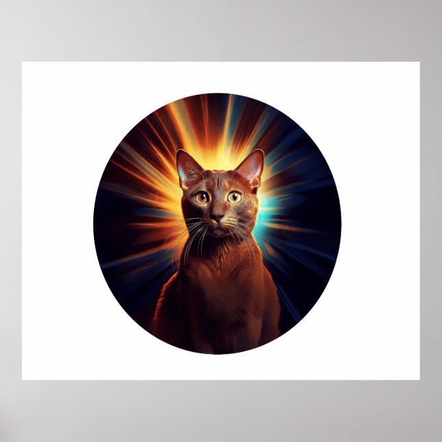 Havana Brown Cat (Breed With Starry Background Poster (Front)