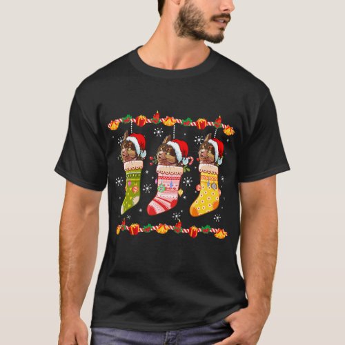 Havana Brown Cat In Socks Christmas T_Shirt