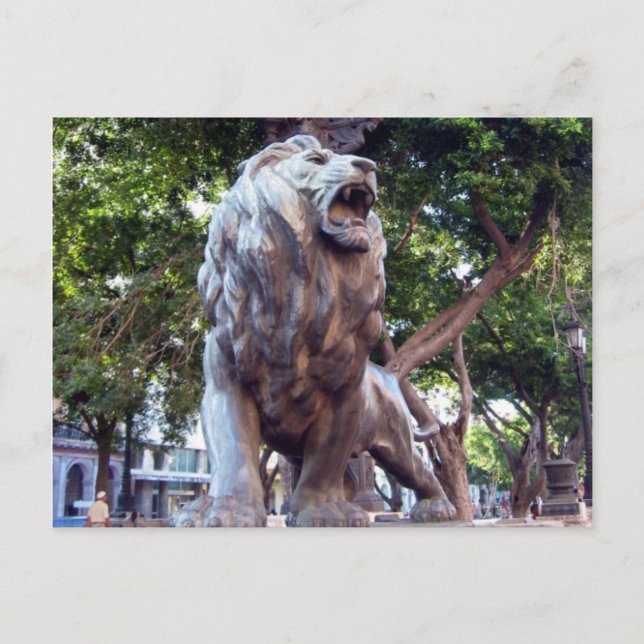 havana lion postcard (Front)