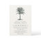 Havana Palm Wedding Invitation