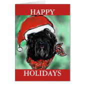 HAVANA SILK DOG (Front)