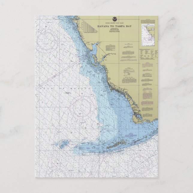 Havana to Tampa Bay Florida Nautical Chart Postcar Postcard (Front)