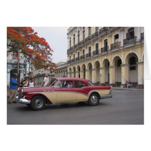 havana vintage (Front Horizontal)