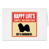 Havanese (Front Horizontal)