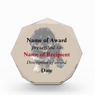 Havanese Acrylic Award