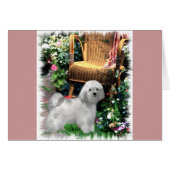 Havanese Art Gifts (Front Horizontal)