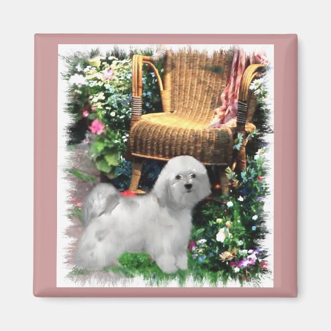 Havanese Art Gifts Magnet (Front)