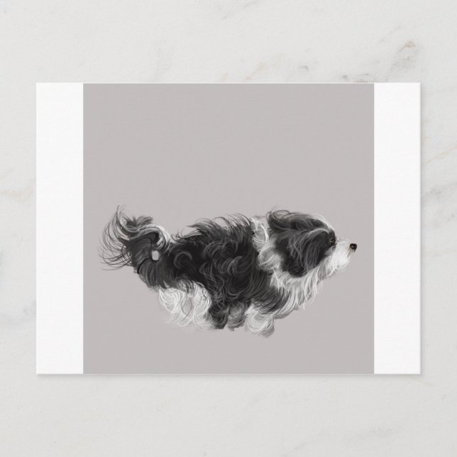 Havanese B&W Postcard (Front)