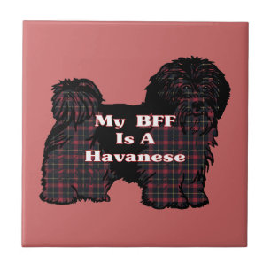HAVANESE BFF CERAMIC TILE