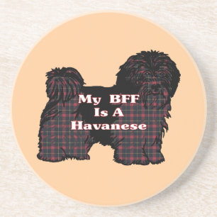 HAVANESE BFF DRINK COASTER