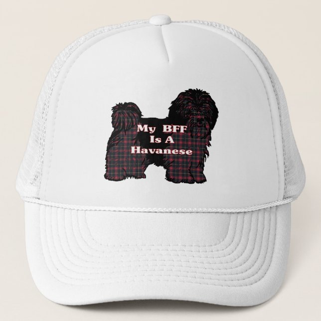 Havanese BFF Hat (Front)