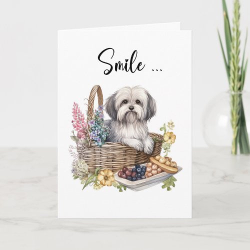 Havanese Breed Dog in Flower Basket Hello Card