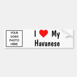 Havanese Bumper Sticker
