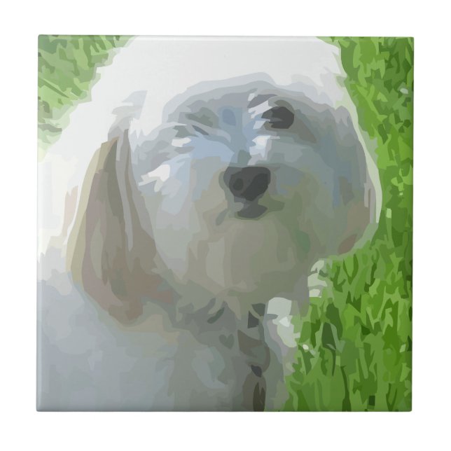 Havanese Ceramic Tile (Front)