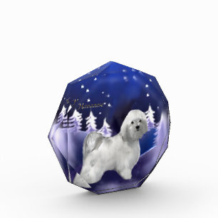 Havanese Christmas Award