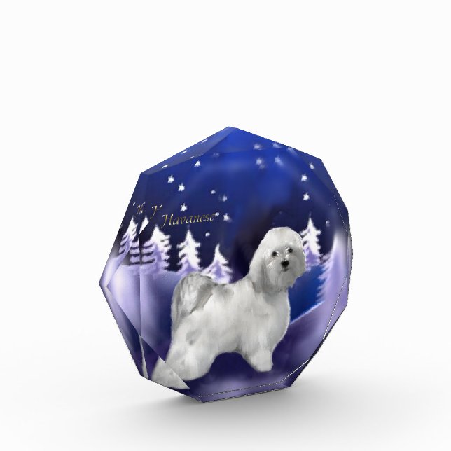 Havanese Christmas Award (Left)