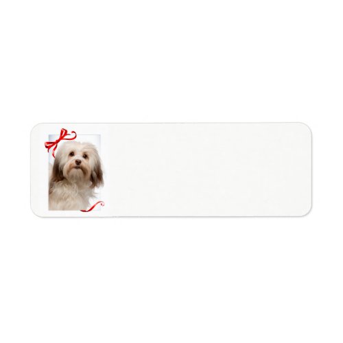 Havanese Christmas Return Address Labels