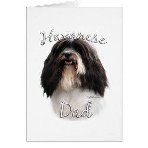 Havanese Dad 2 Cards