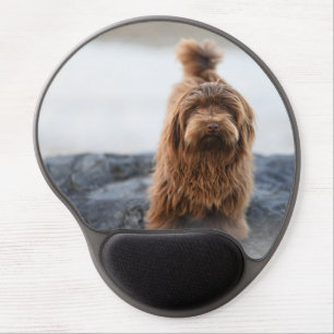 Havanese dog, Animal, Canine Gel Mouse Pad