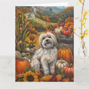 Havanese Dog Autumn Harvest Thanksgiving Card