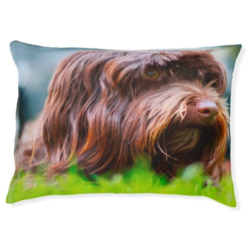 Havanese Dog Bed Pet Bed