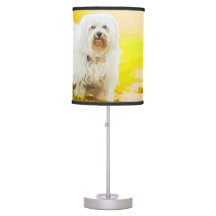 Havanese Dog Bichon Portrait Painting