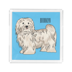 Havanese dog cartoon illustration acrylic tray