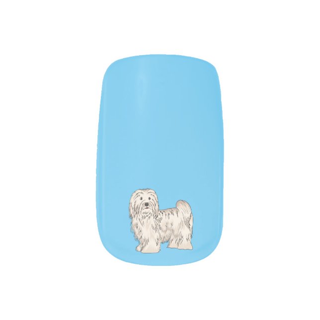 Havanese dog cartoon illustration minx nail art (Left Thumb)