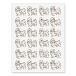 Havanese dog cartoon illustration temporary tattoos
