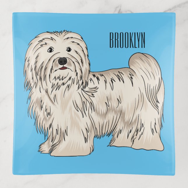 Havanese dog cartoon illustration trinket tray (Front)