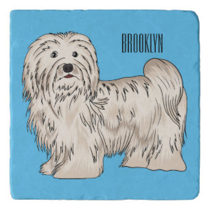 Havanese dog cartoon illustration trivet